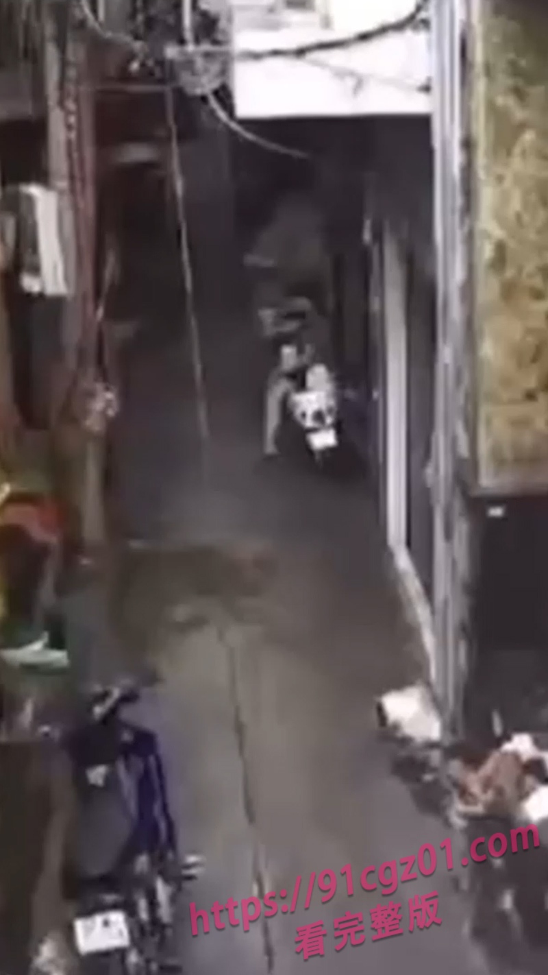 越南两兄弟 3