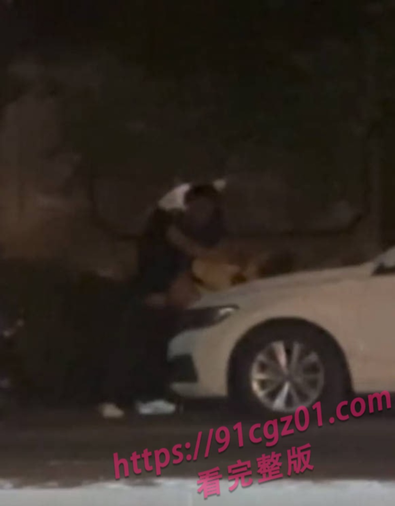 濮阳华府山水 4