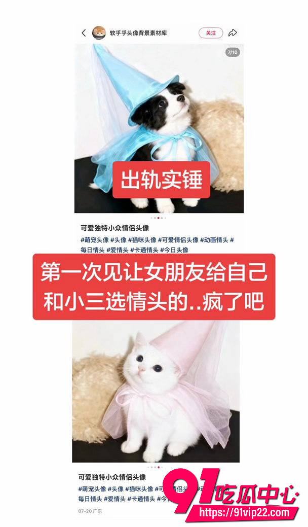 林繁绿4 林繁绿4
