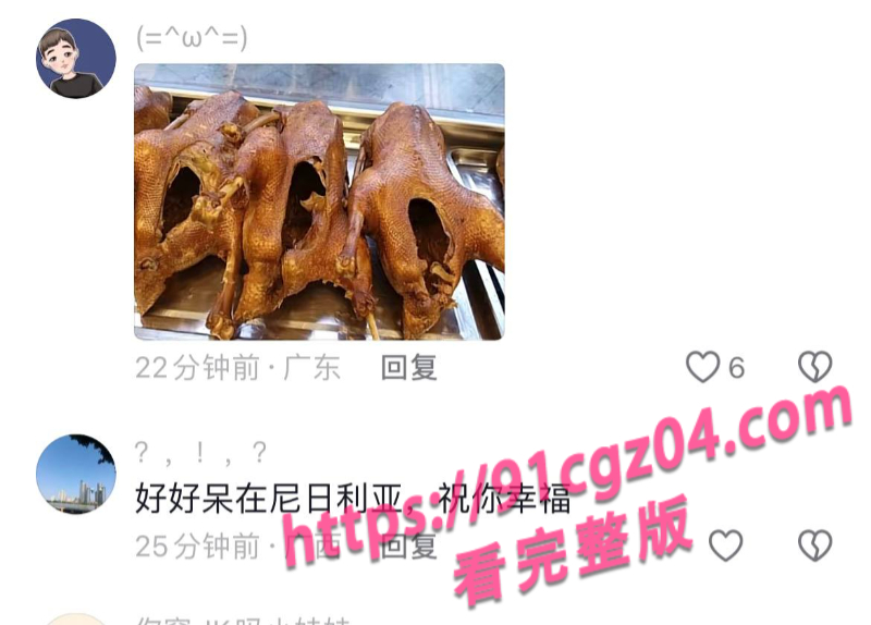 媚黑婊嫁给黑人4素材水印版
