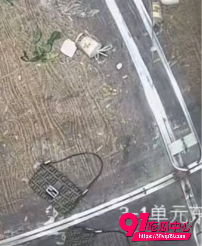 湖北仙桃电梯打架2