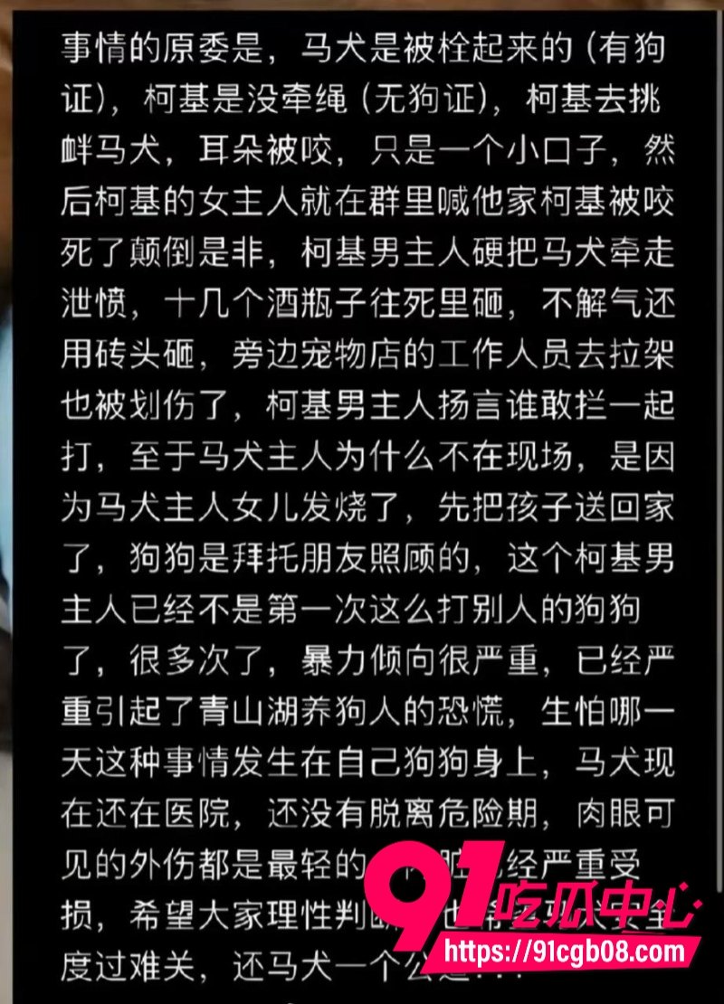 浙江 网友发视频：一男子当街用酒瓶和砖头疯狂打砸一只狗1