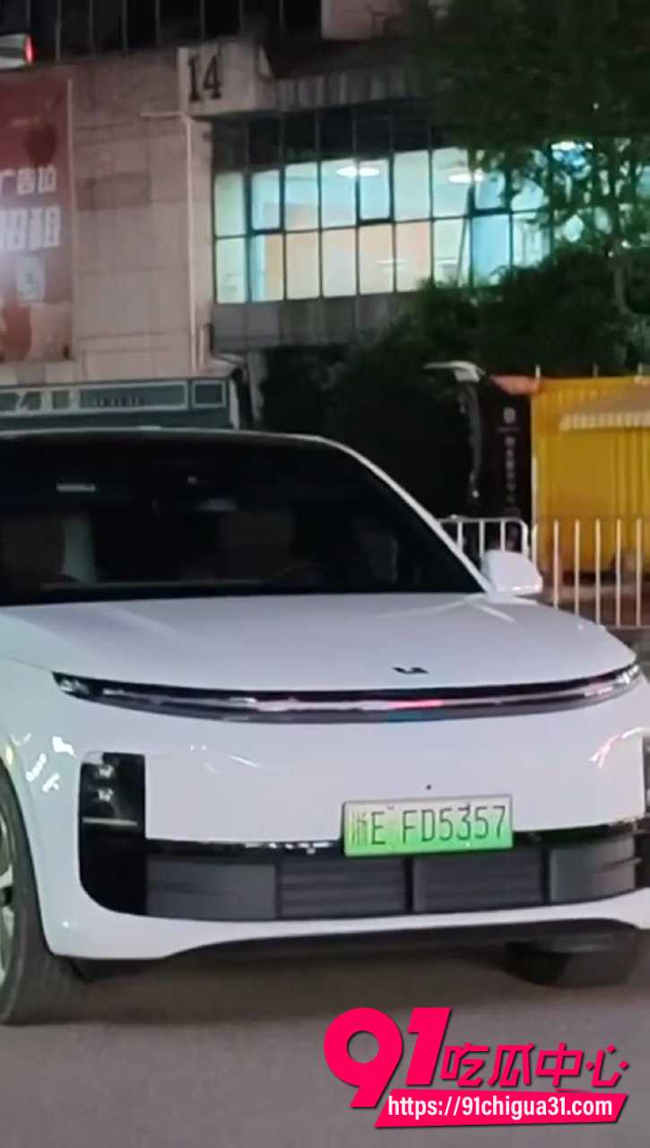 街头电车车震偷拍8