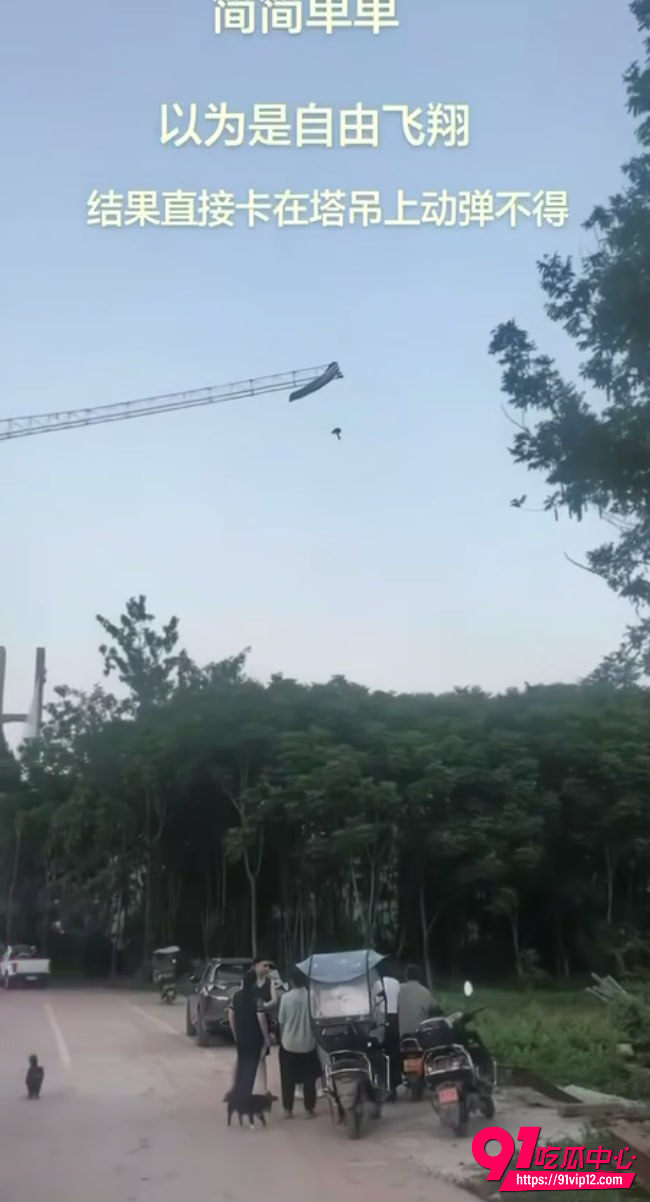四川南充2 四川南充2