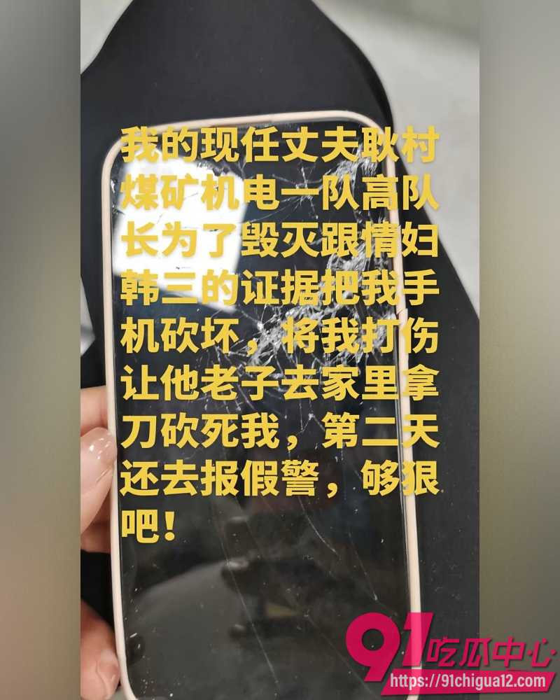 娜姐手撕公职丈夫高飞 27