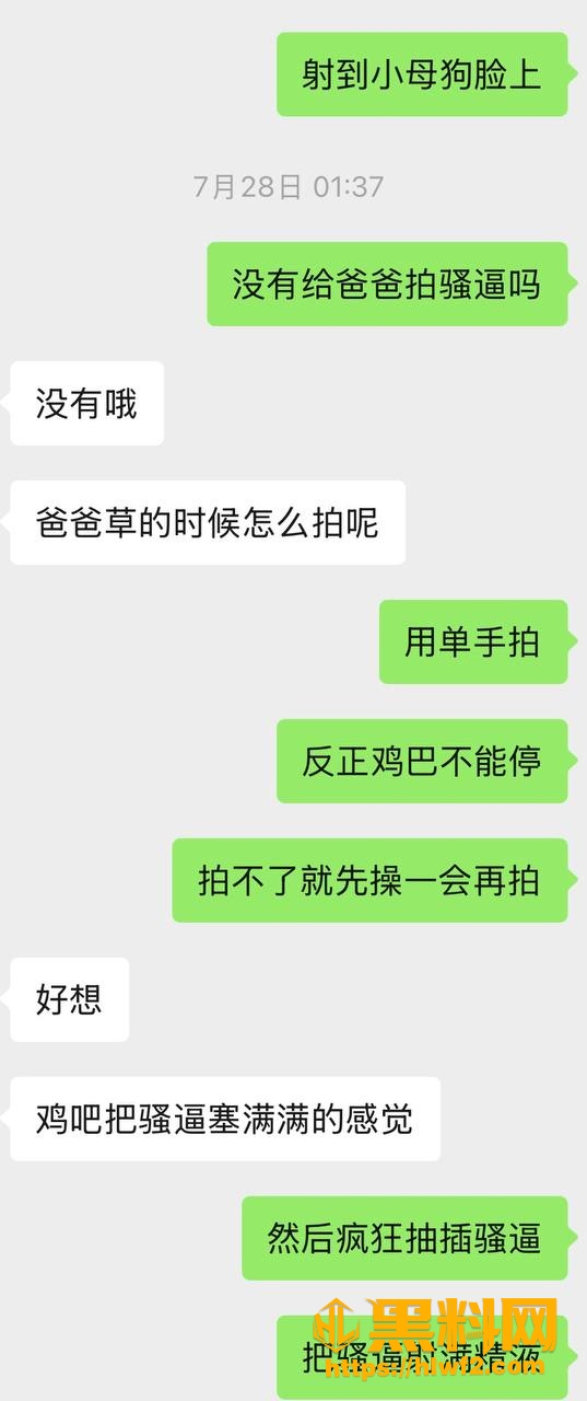 原创小说 国内贪官的私下淫乱生活 拿下项目后开启群P之旅