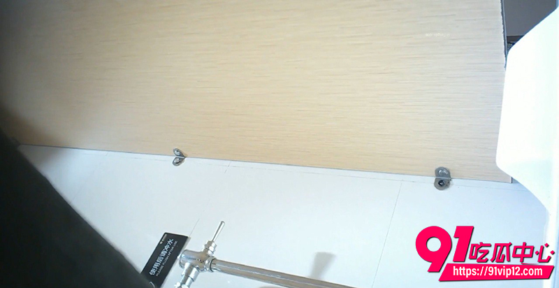 酒店餐厅女厕偷拍 2 酒店餐厅女厕偷拍 2