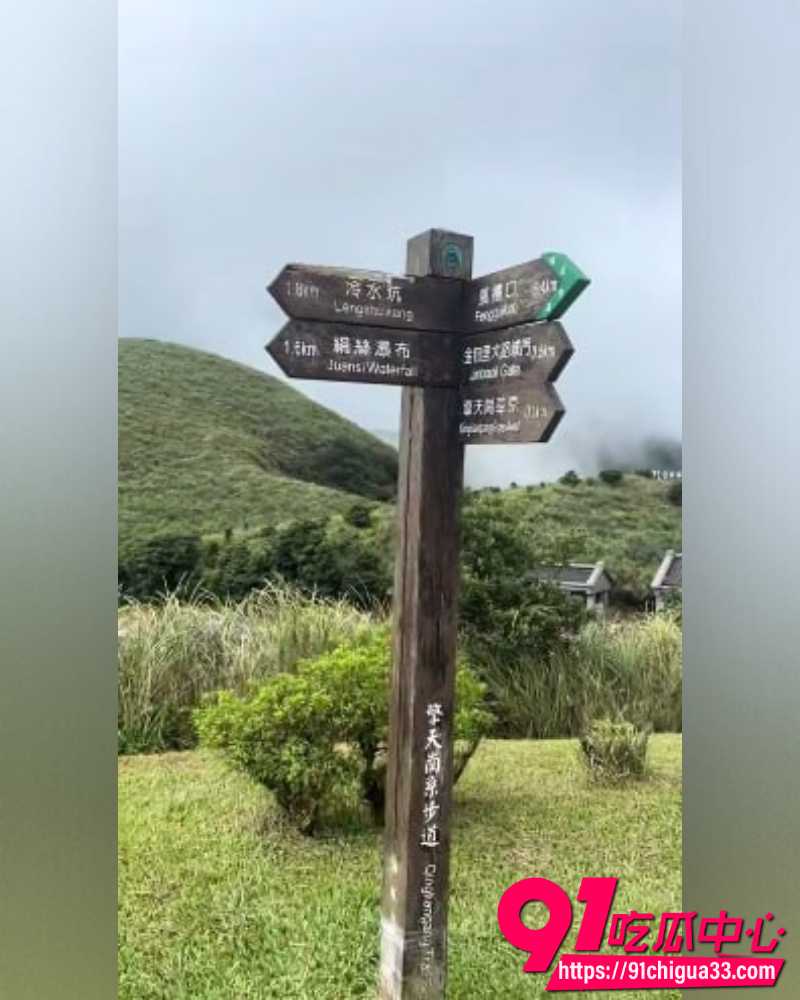 台湾阳明山擎天岗直播事故 6