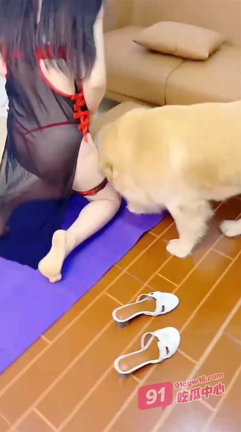 香香公主合集~与爱犬的性爱结合 被金毛内射 娴熟的动作让人可怕! 配图4