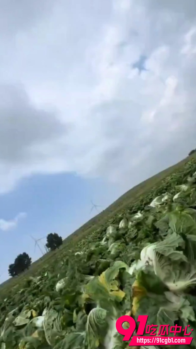 渔猎齐哥揭秘3