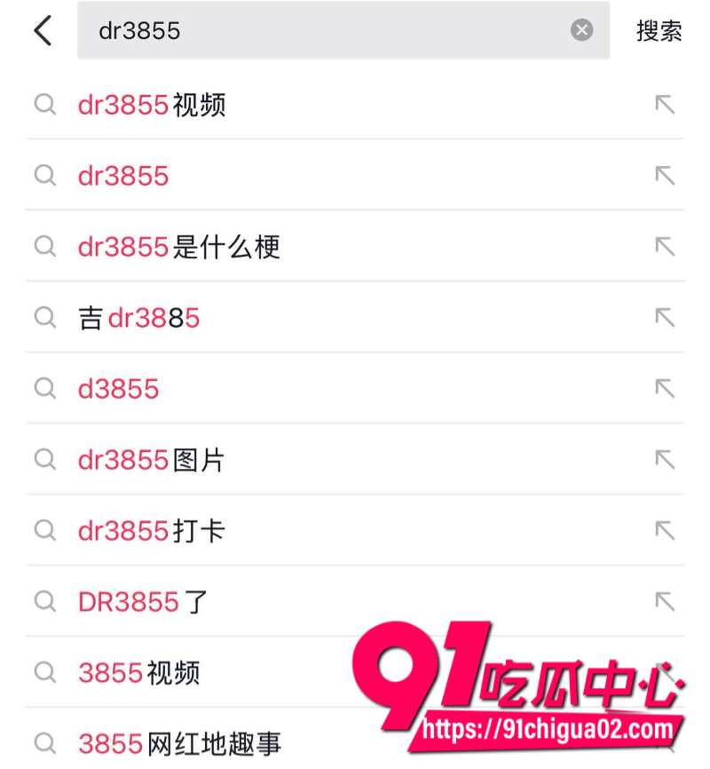 辽源吉DR3855车主10