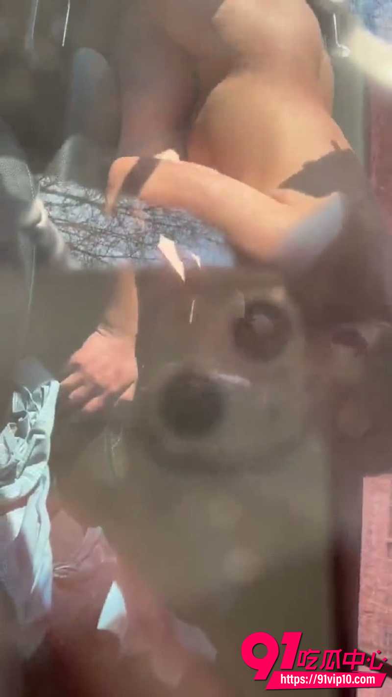 车震偷拍视频 3
