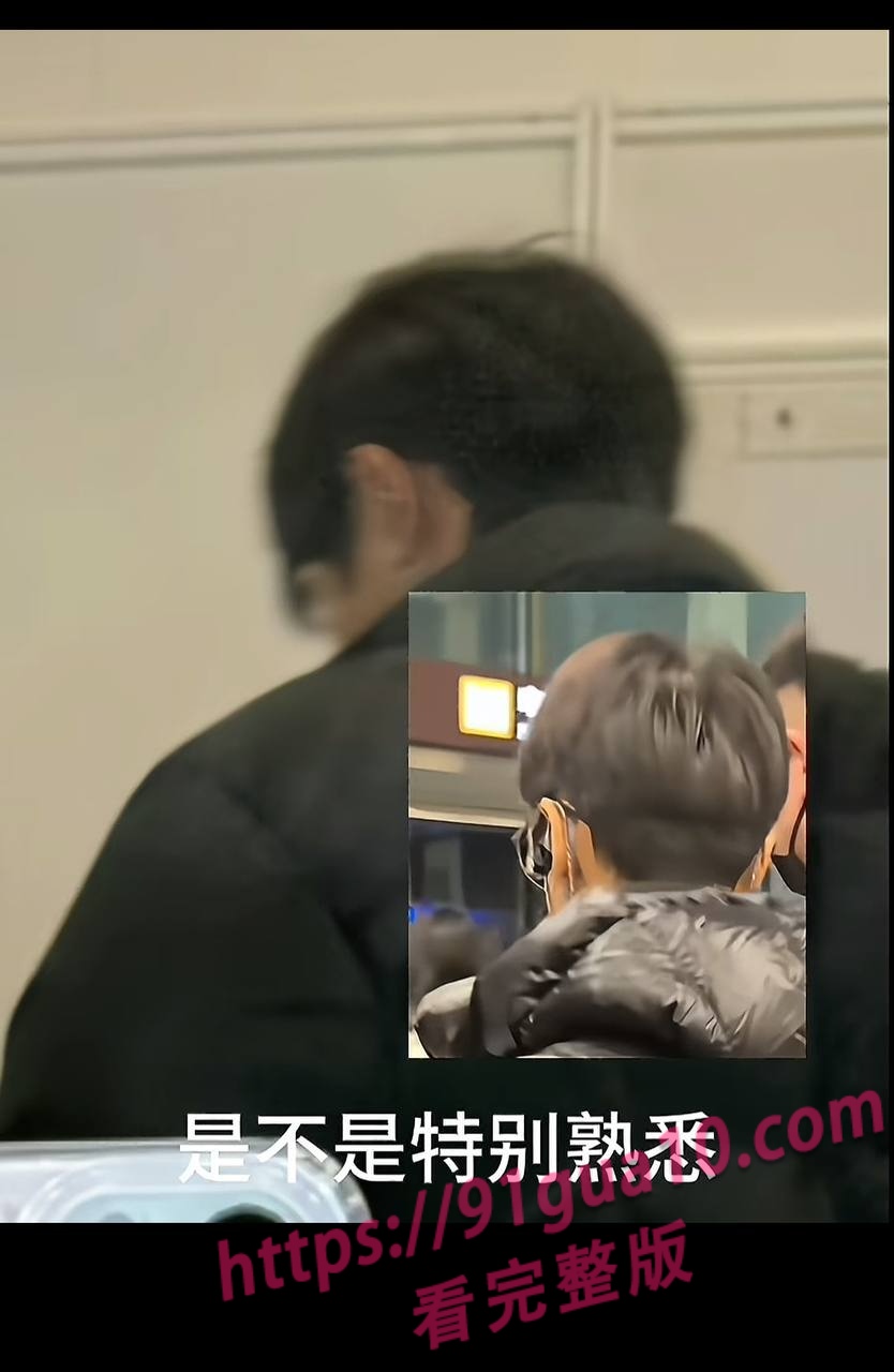 白鹿15