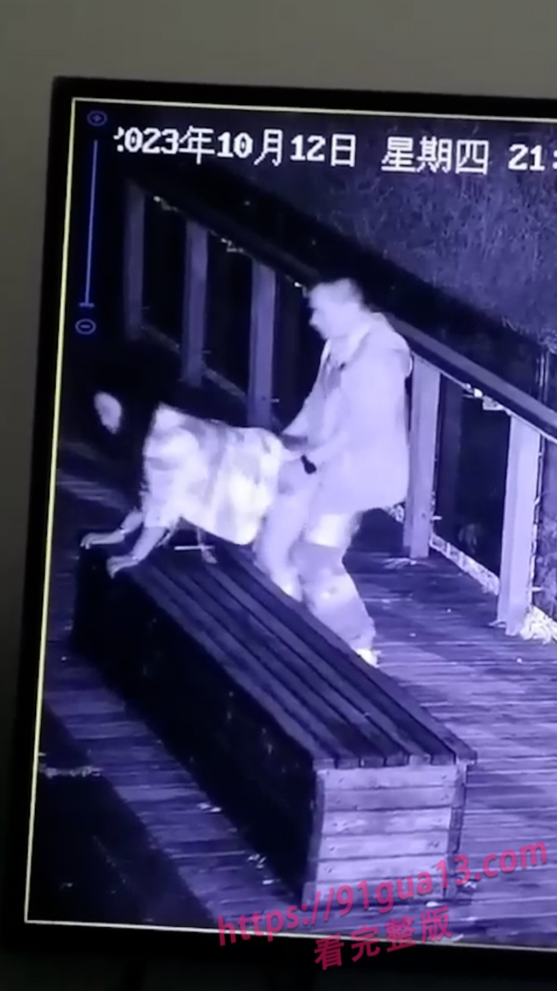 小情侣深夜公园野战！殊不知全被监控拍下！反应逗乐保安 配图2