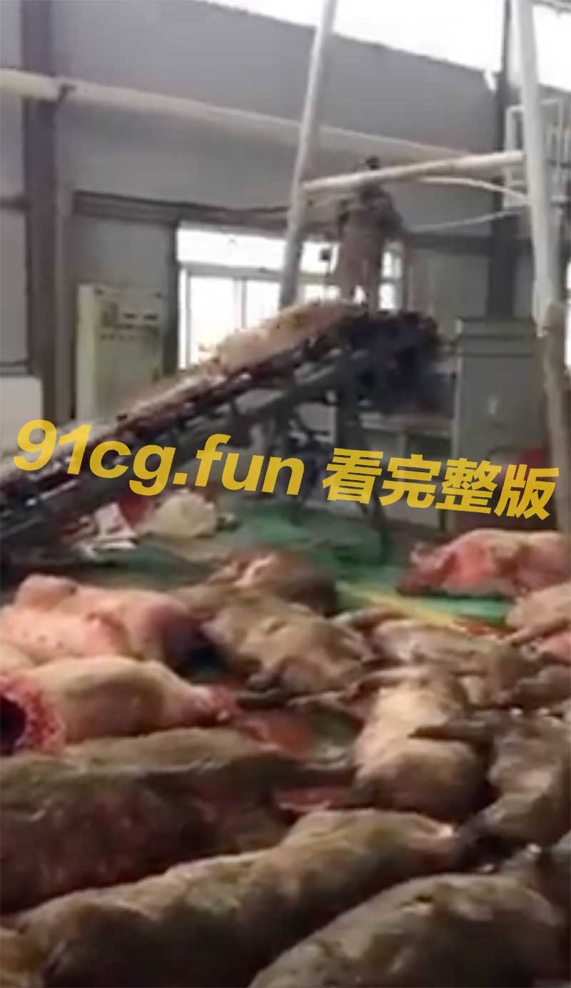 截圖-2023-01-12-下午2.04.40.jpg