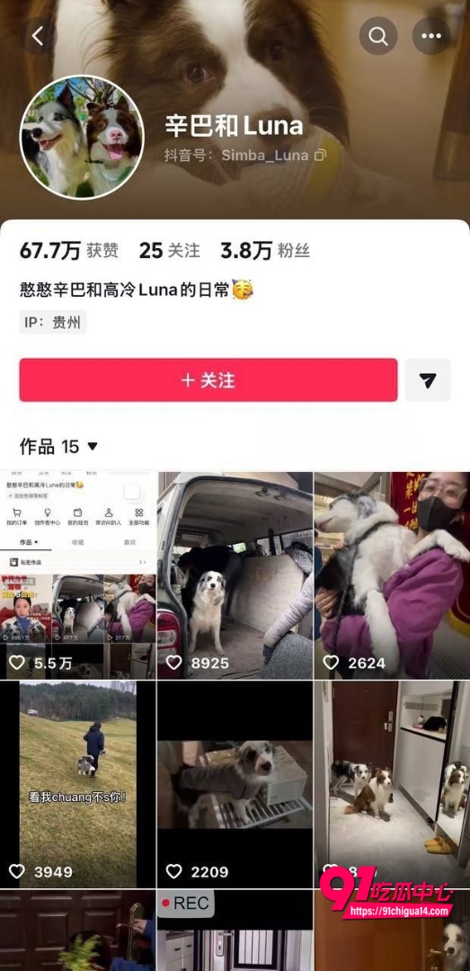 支部书记王彬遛狗打人事件1