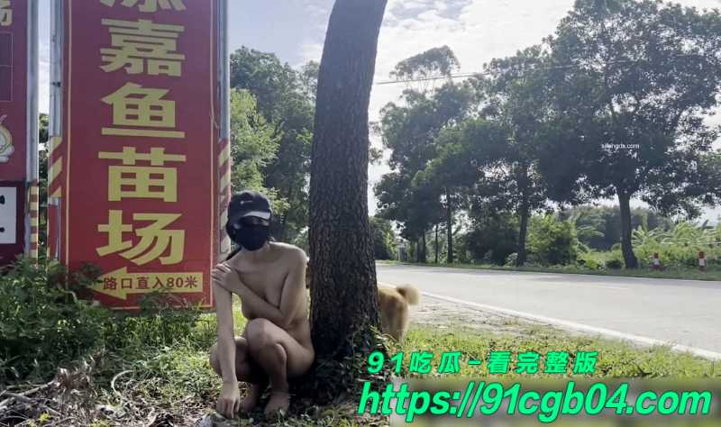 序列 2608.00163304 序列 2608.00163304