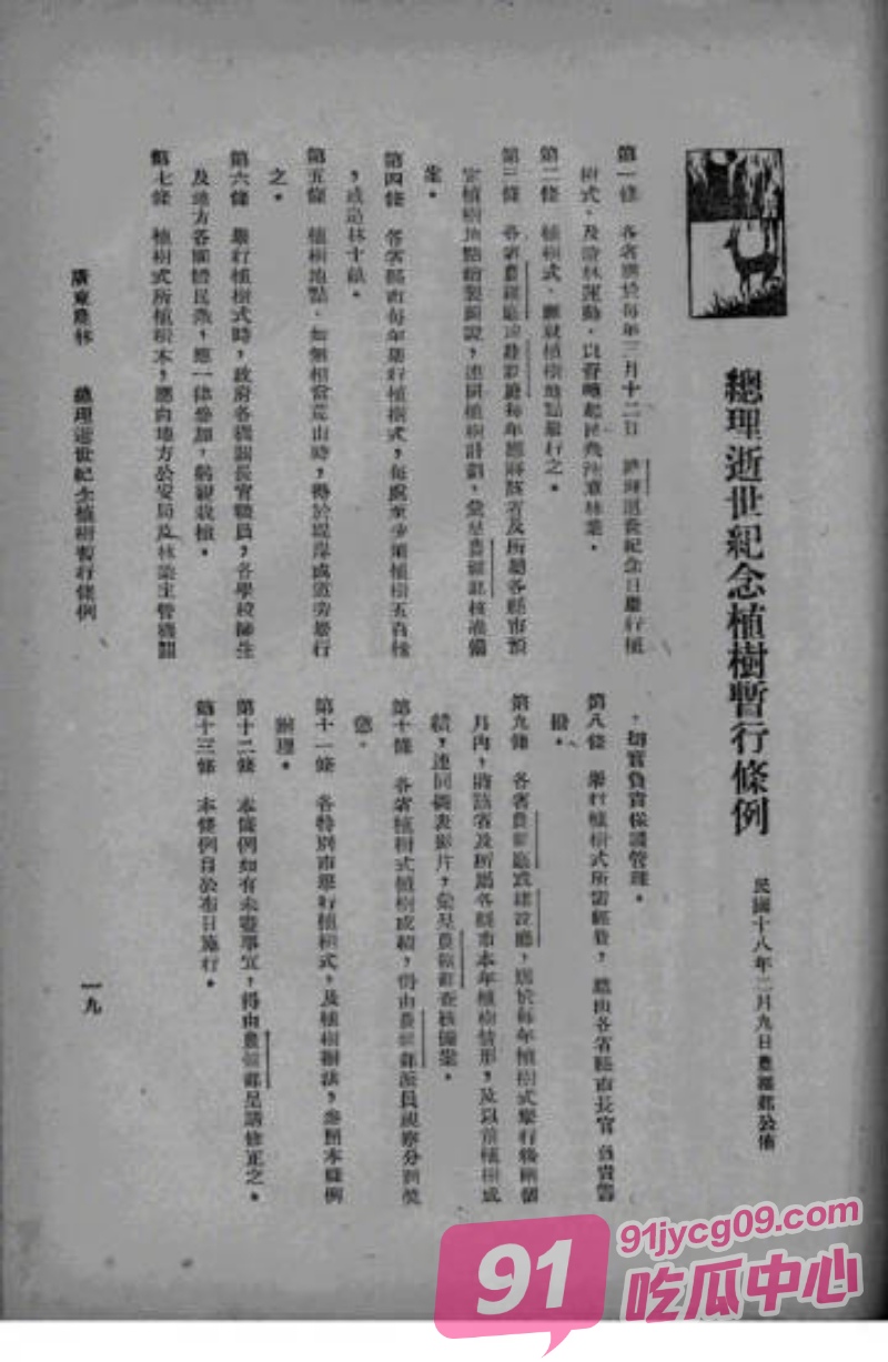 01.jpg