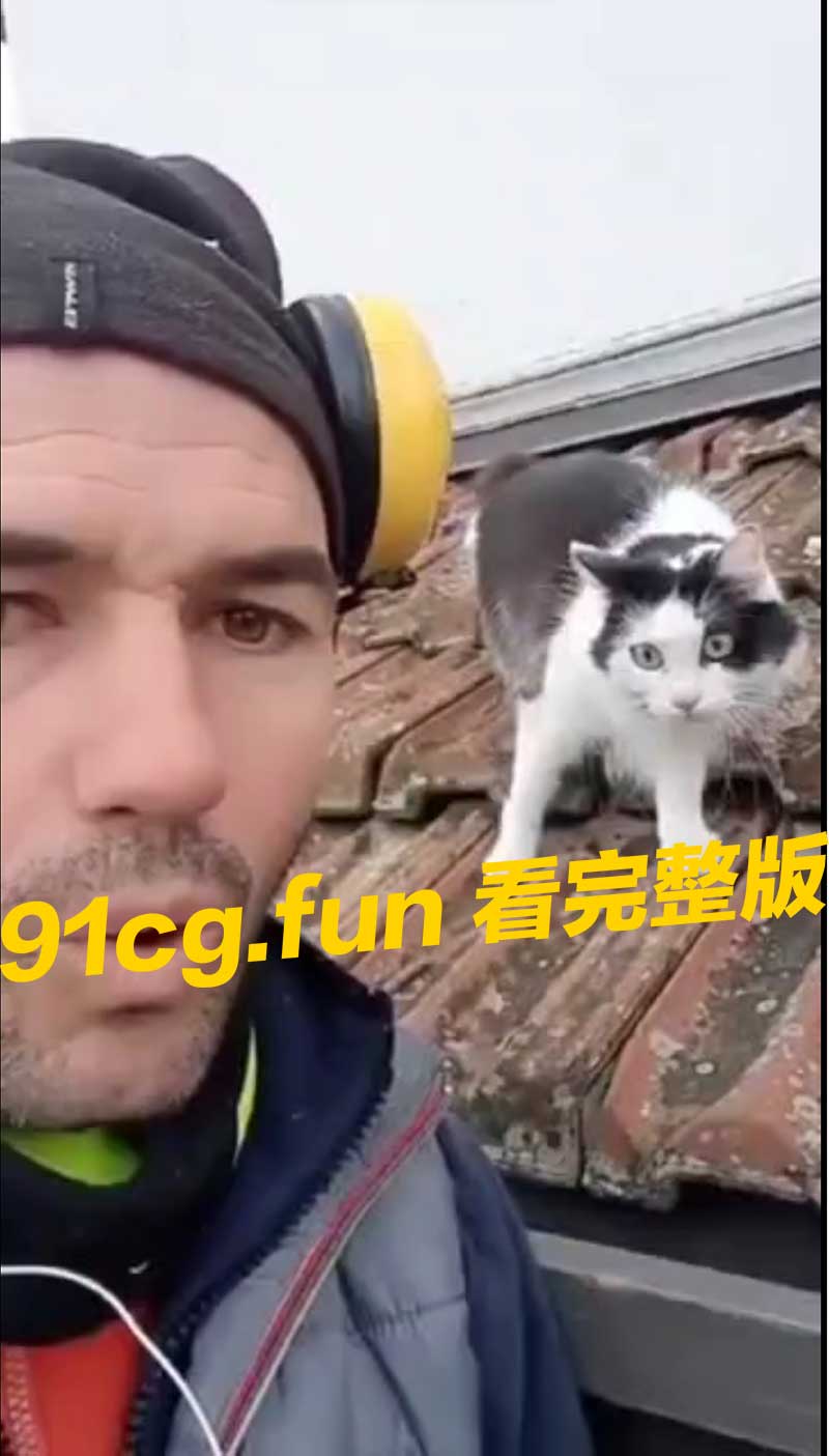 猫.jpg