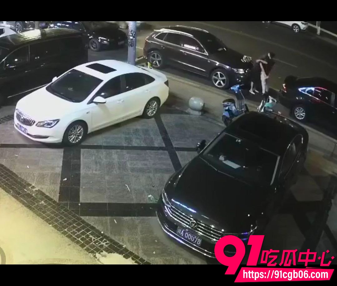 野鸳鸯精虫上脑路边车旁激情啪啪5