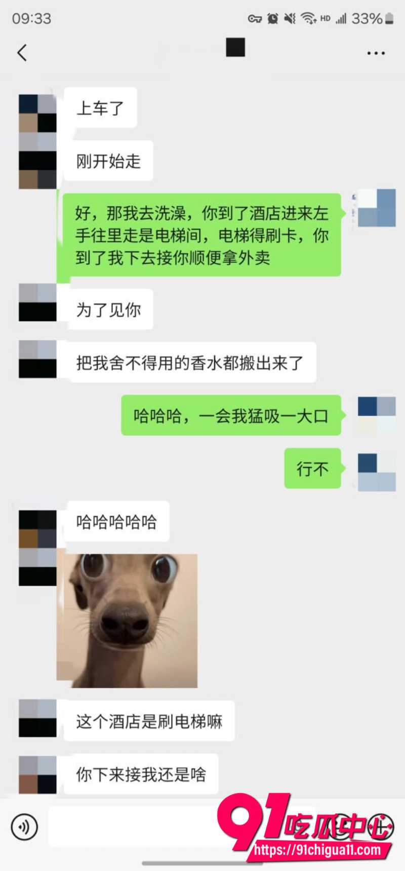老虎菜35 老虎菜35