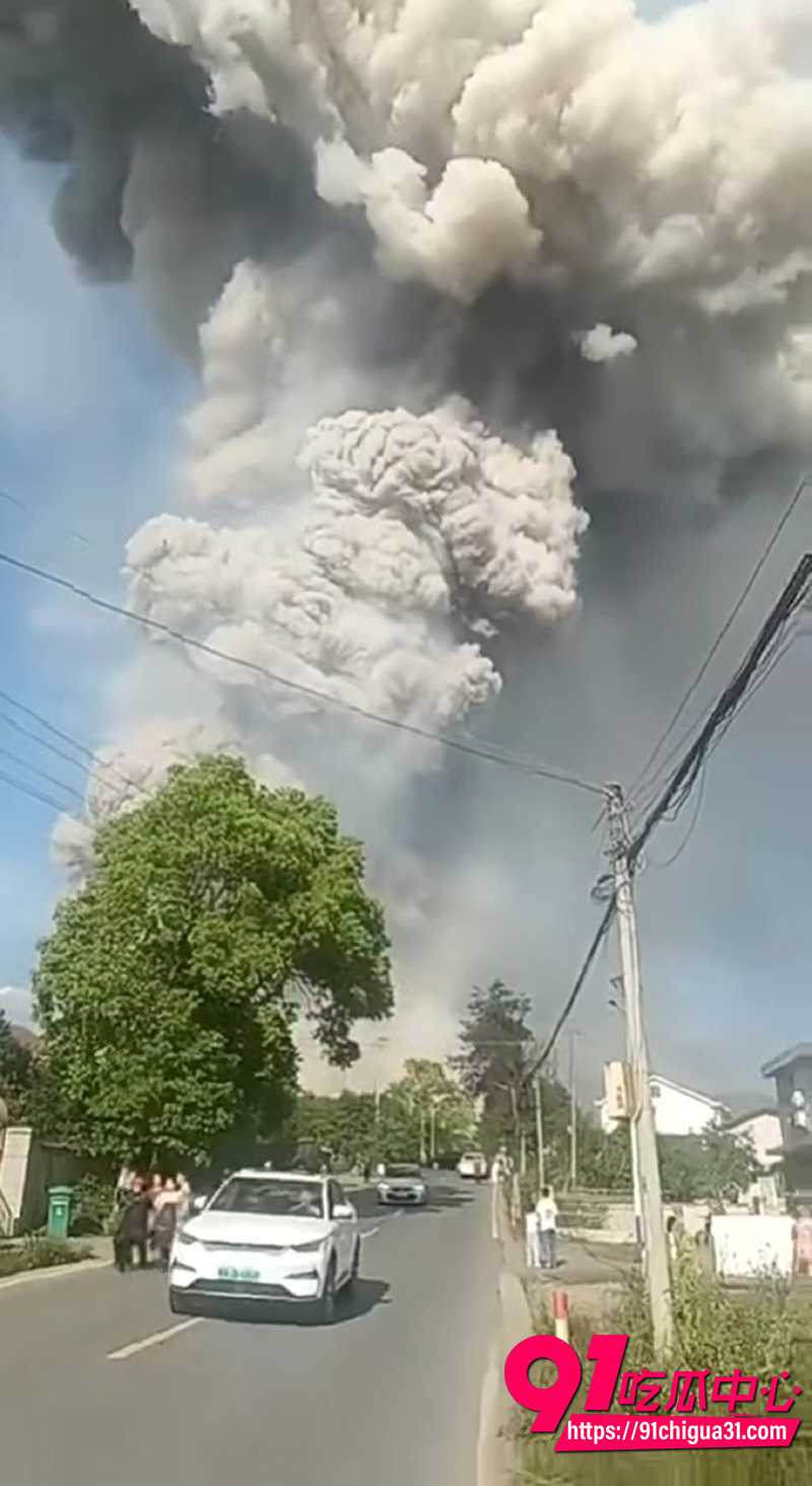 浏阳烟花厂爆炸 4
