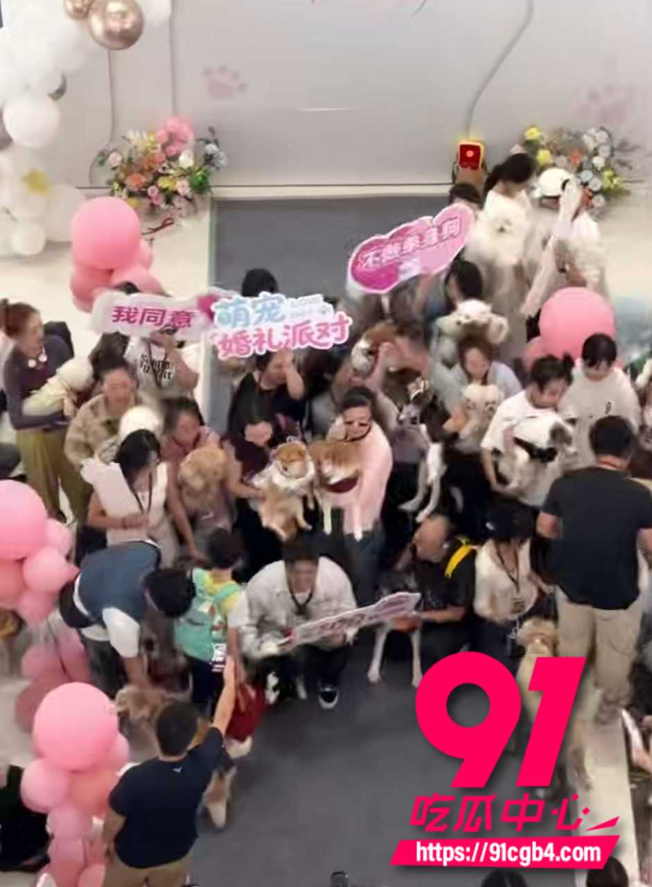 太原狗狗婚礼 1