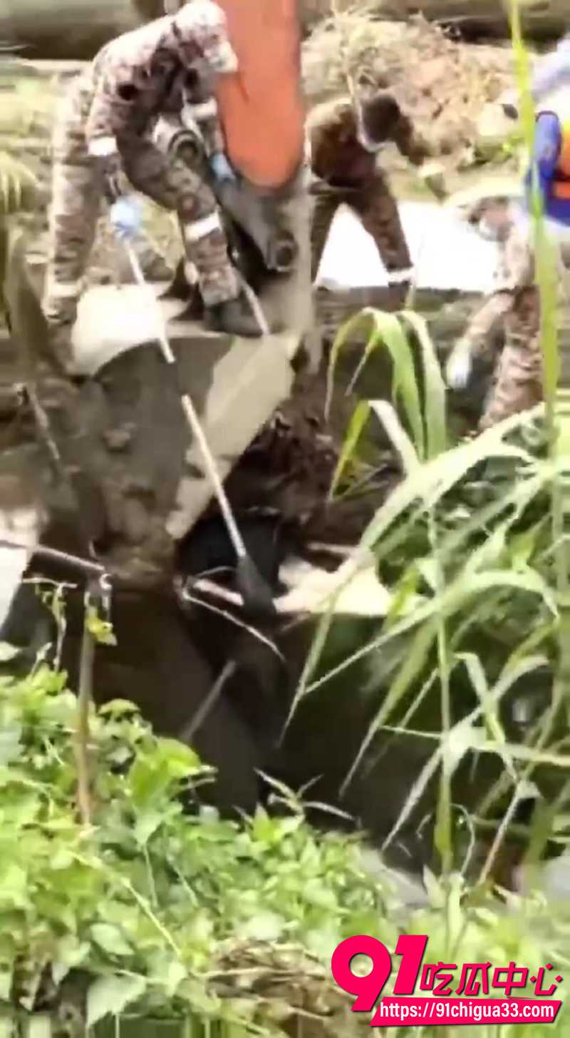 巨型鳄鱼吃人事件 6 巨型鳄鱼吃人事件 6
