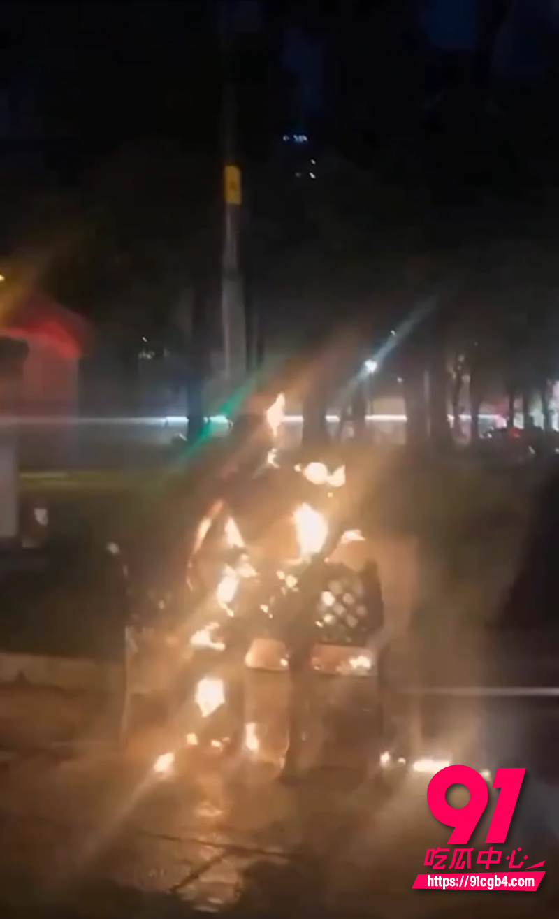 越南胡志明市公园自焚事件 4