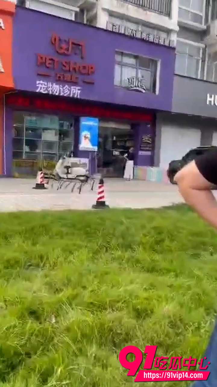 宠物碰瓷3