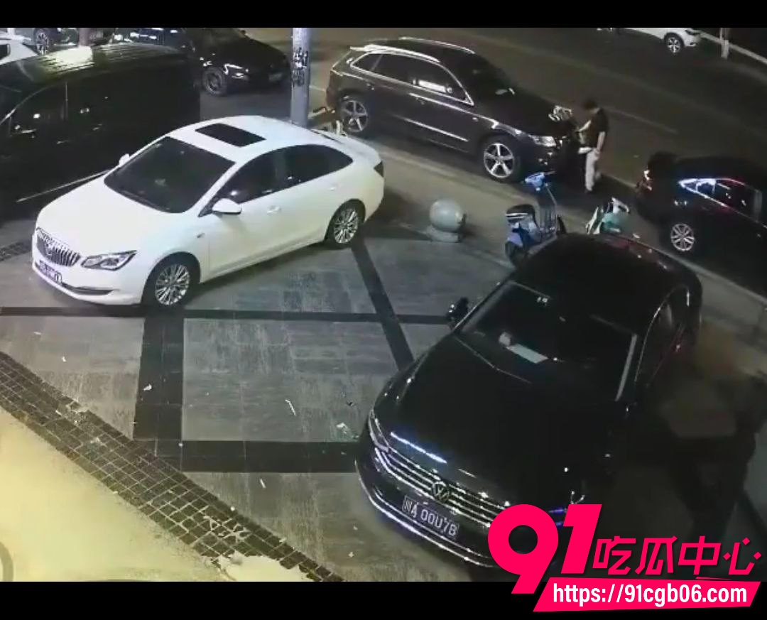 野鸳鸯精虫上脑路边车旁激情啪啪6