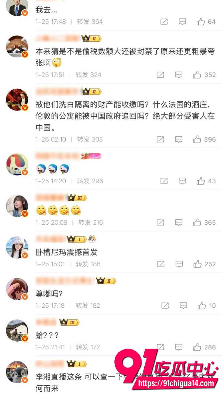 赵薇老公弟弟佘智江引渡回国19 赵薇老公弟弟佘智江引渡回国19