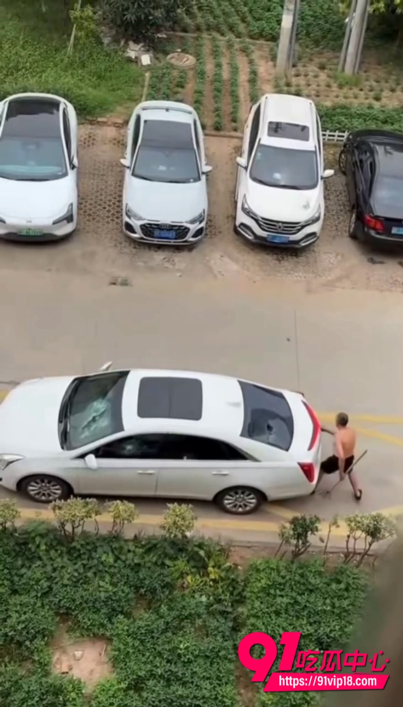 大爷砸车图片 2