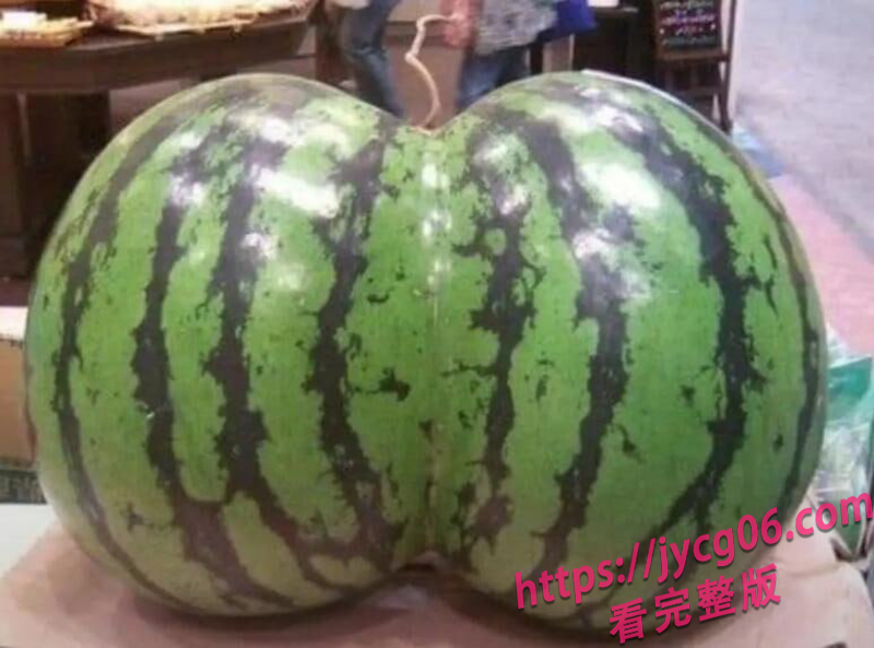 每日沙雕图系列！全网沙雕图新鲜速递！笑不活了～ 配图3