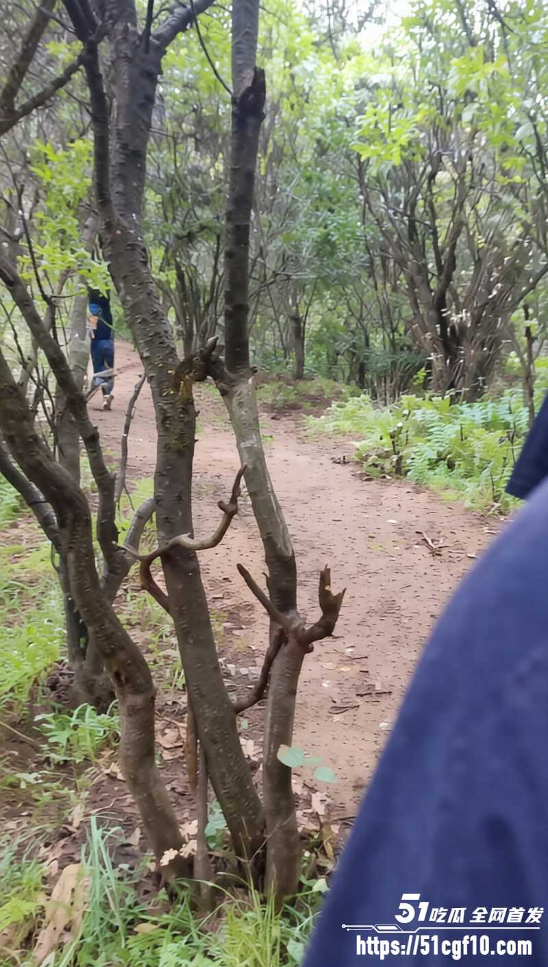 西安子午峪尖山男子上吊自杀03 西安子午峪尖山男子上吊自杀03