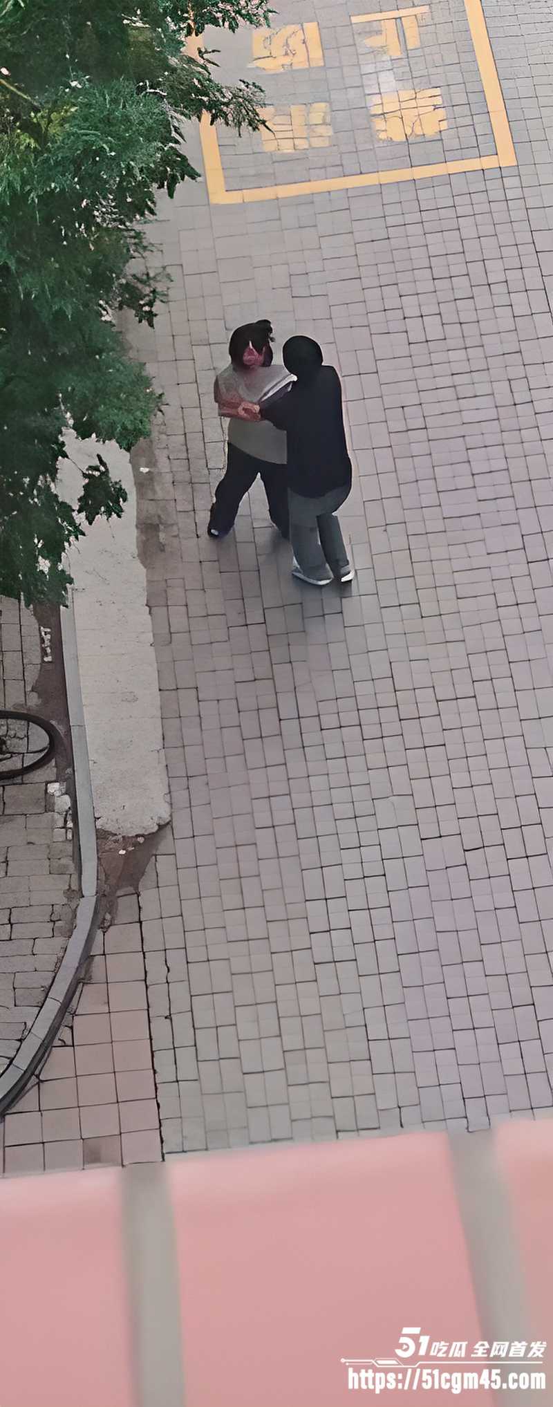 校园宿舍楼下惊现猎奇一幕  1