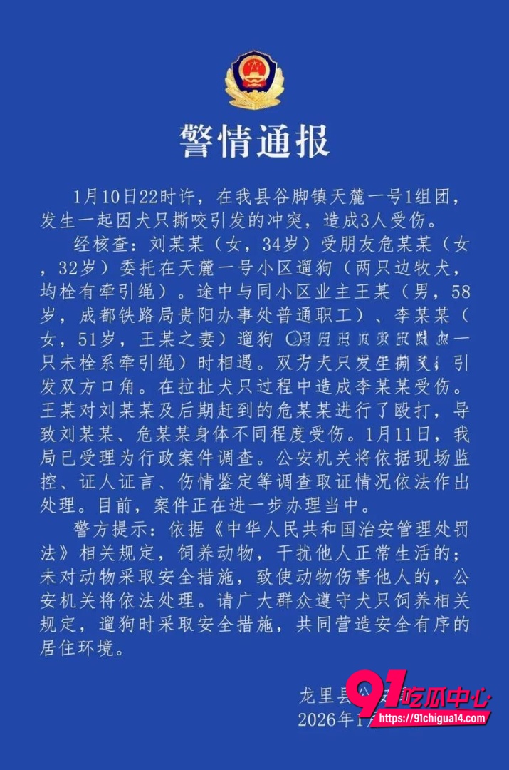 支部书记王彬遛狗打人事件3