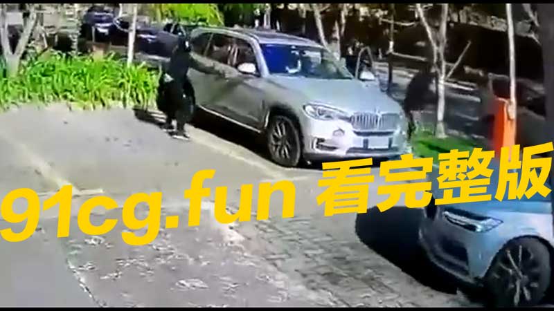 智利大白天抢车事件 光天化日之下侠盗飞车式抢劫视频曝光