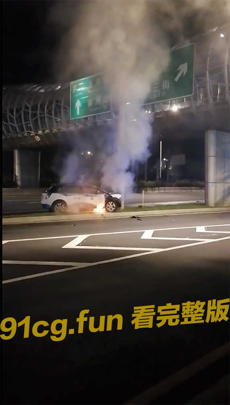 比亚迪3