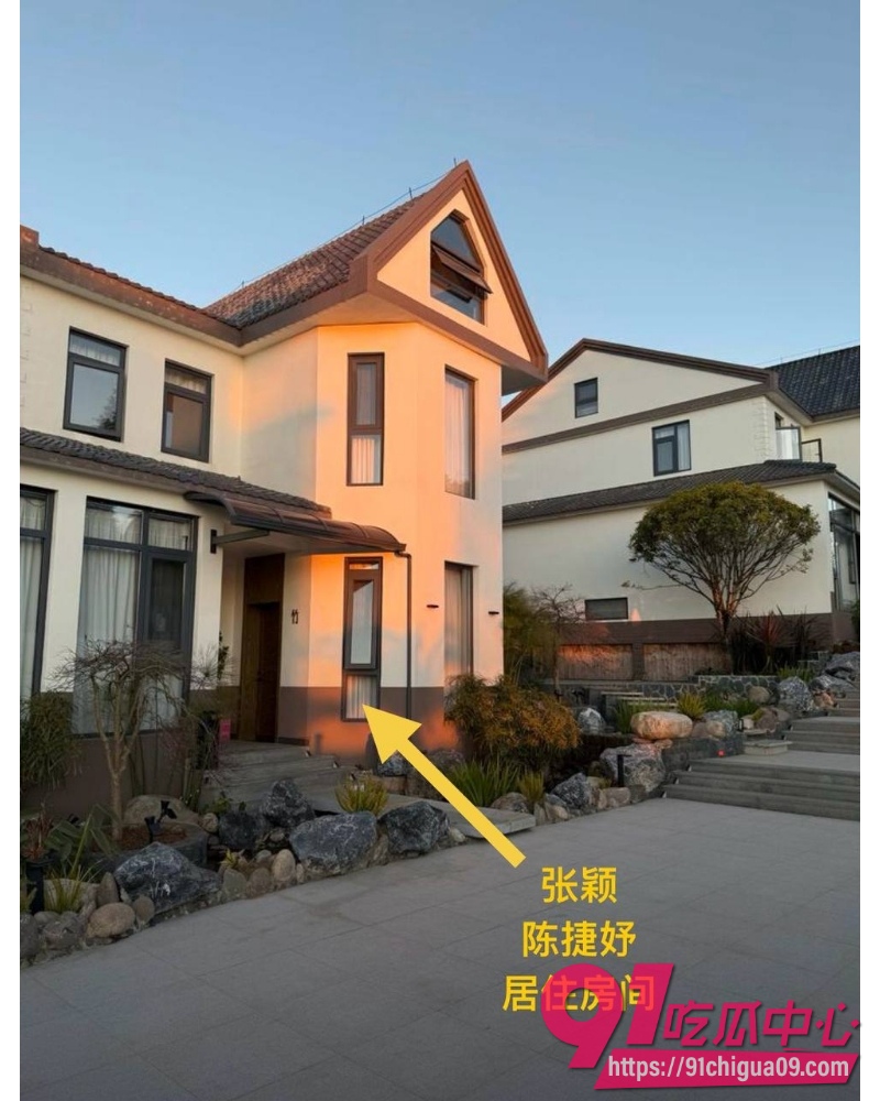 张颖 被前妻举报婚内出轨 20