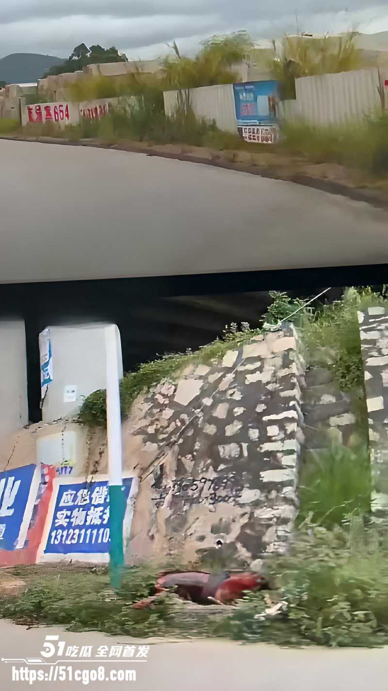 新营分尸案 7 新营分尸案 7