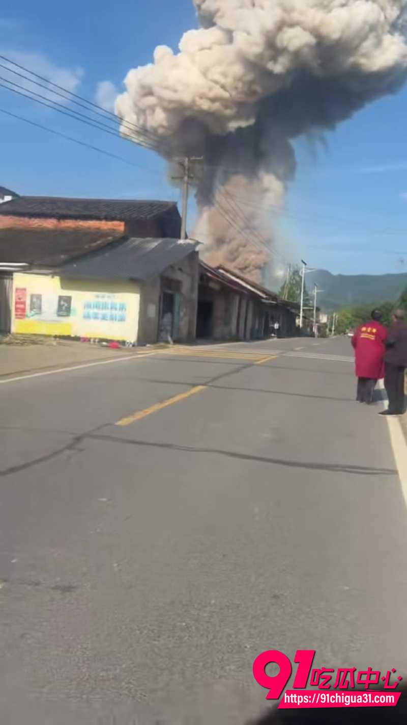 浏阳烟花厂爆炸 6