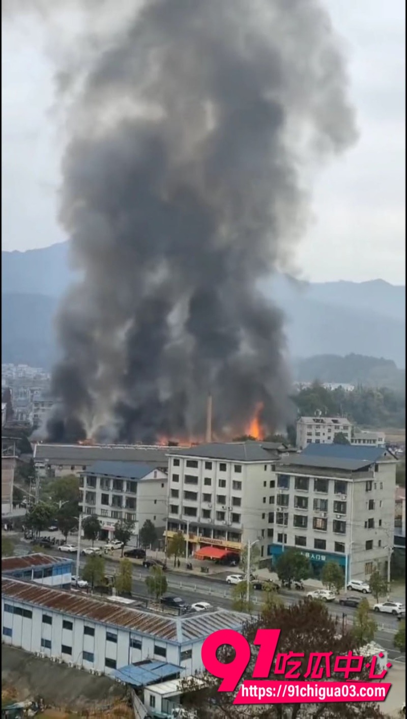 株洲炎陵县一工厂发生火灾5 株洲炎陵县一工厂发生火灾5