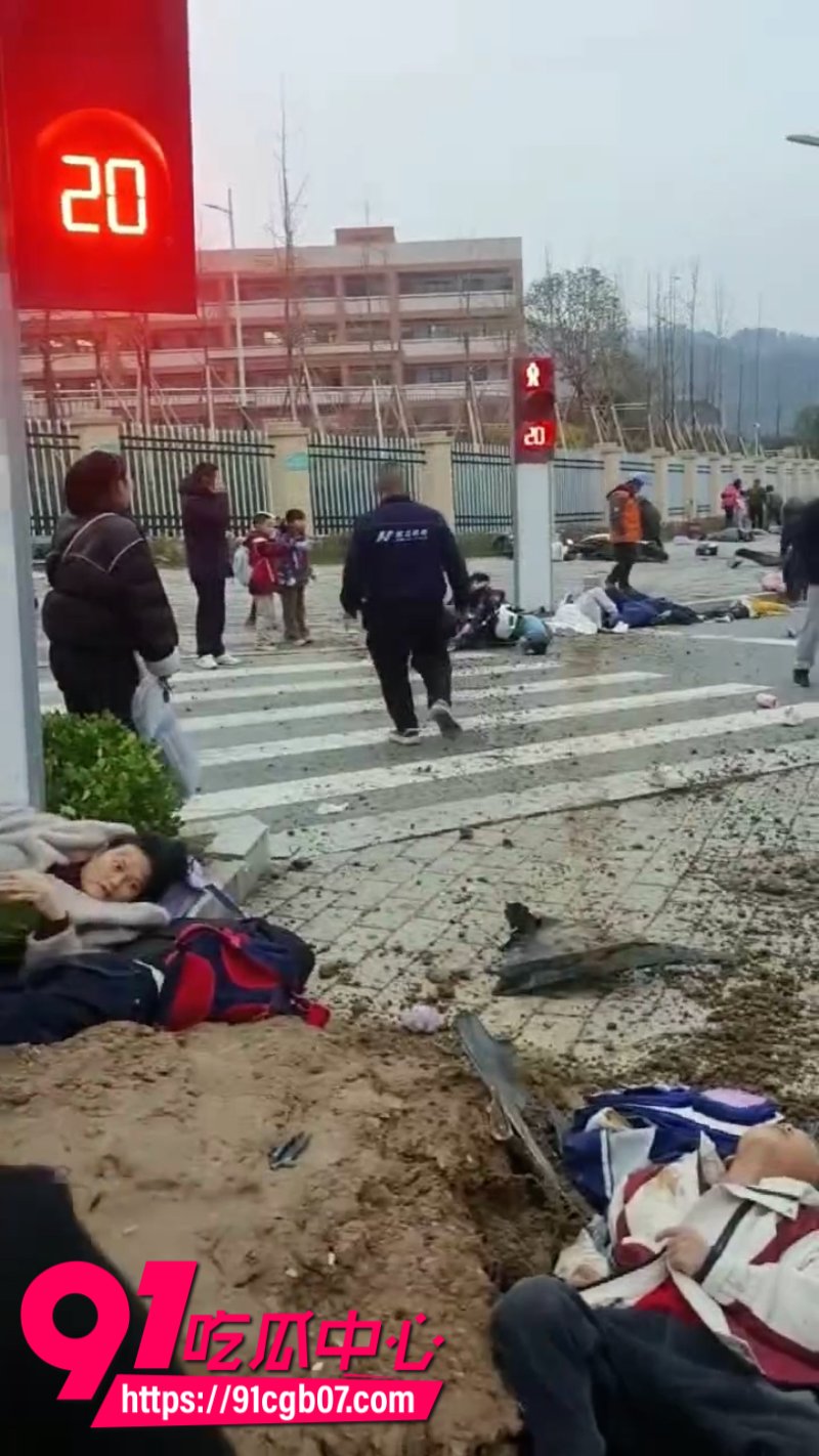 湖北一辆小轿车在学校门口高速冲撞学生和家长网页素材3