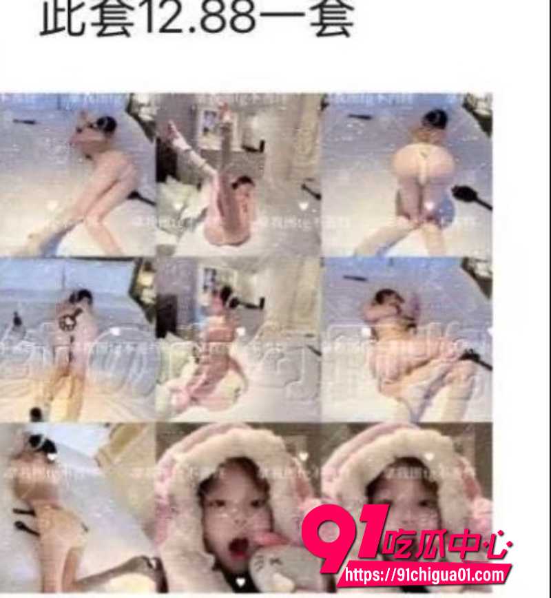 狼队道崽女友星之卡比8
