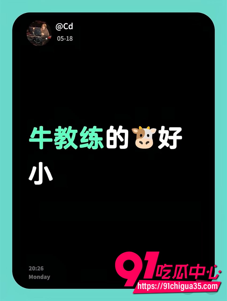 牛教练3