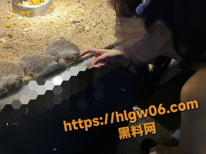 海角社区 意淫自己妹妹 16-20集 后续会持续更新