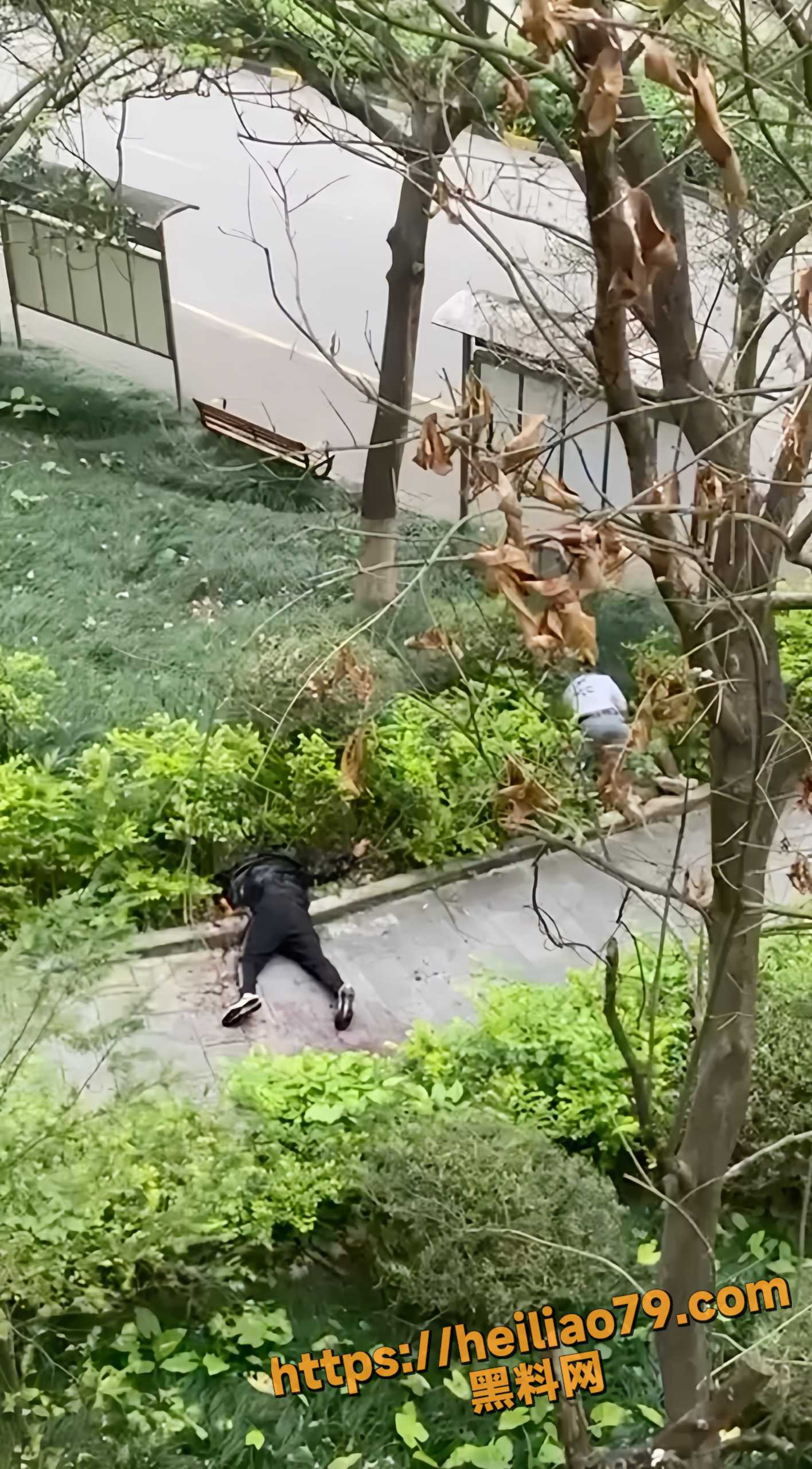 南宁市翡翠园 突发严重持刀伤人事件 刀仔与伤者均受伤倒地 现场惊悚血腥不忍直视