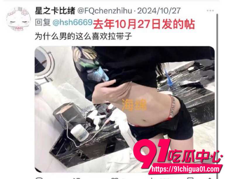 狼队道崽女友星之卡比2