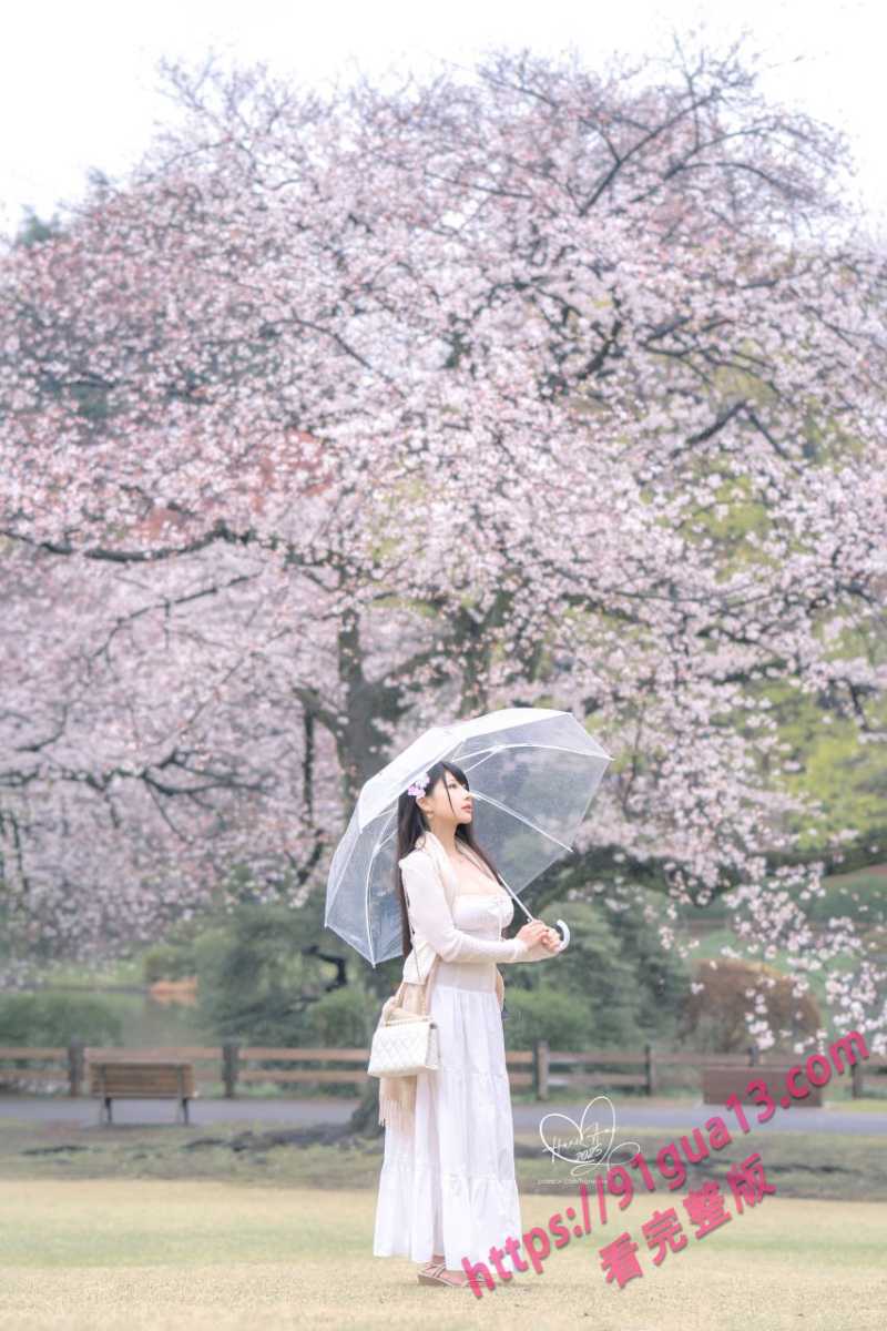 微密圈模特雨波_HaneAme专辑！雨樱下的约定 丰满御姐胸怀深不见底～ 配图18